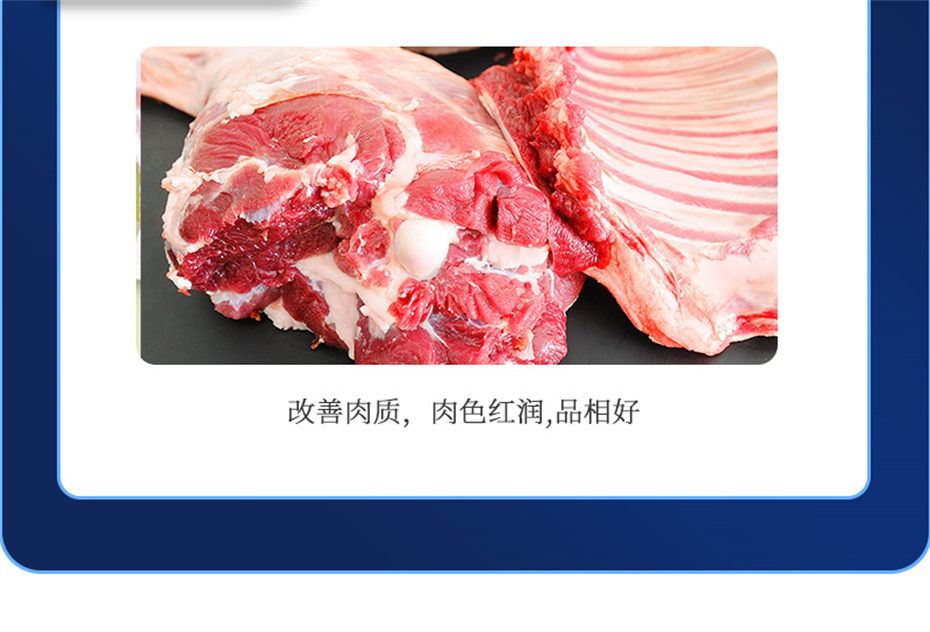 bifa必发动保羊饲料添加剂肉羊多矿产品介绍