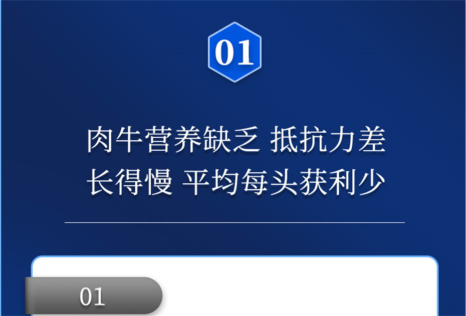 bifa必发动保牛饲料添加剂肉牛多矿产品介绍