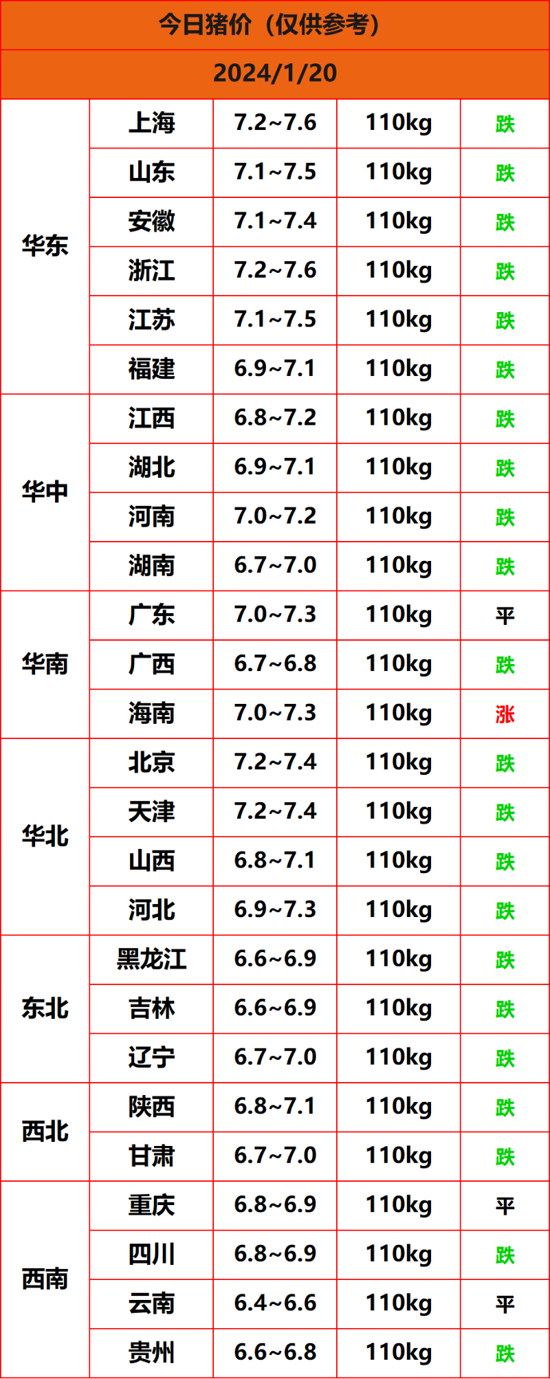 2024.1.20猪价