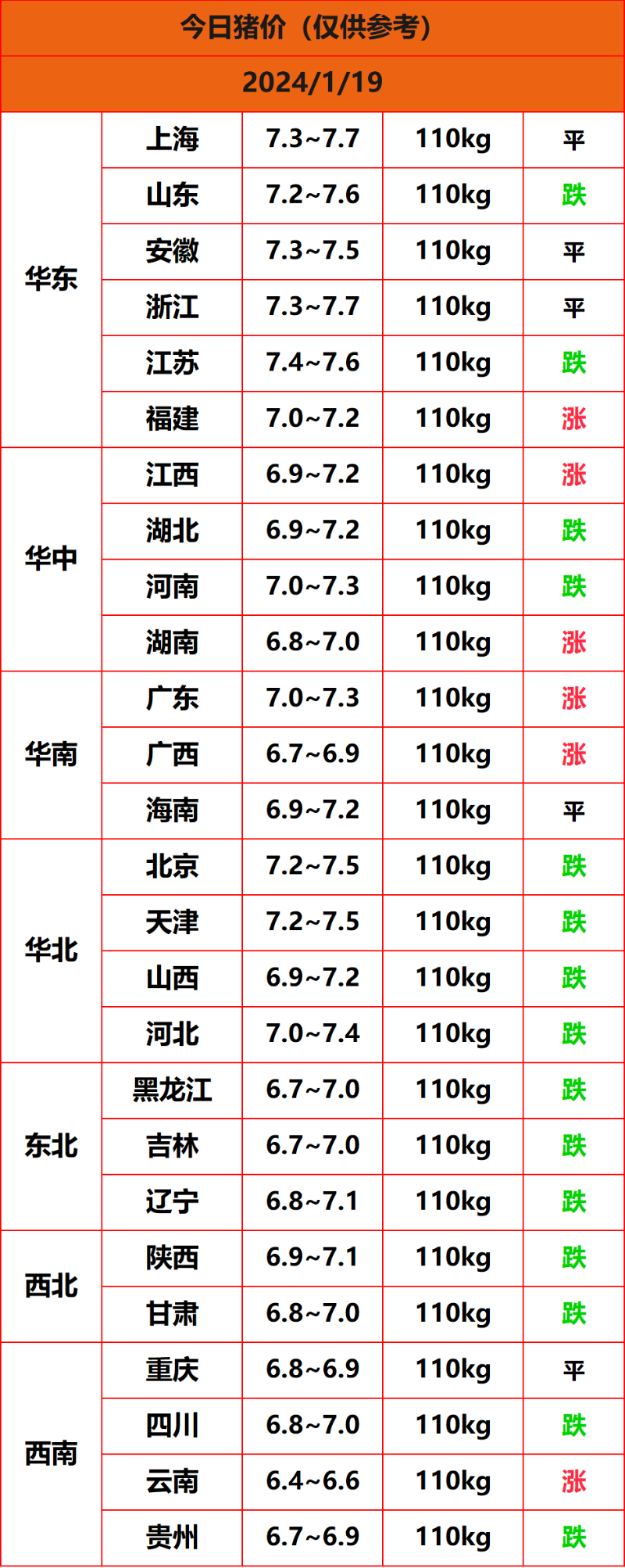 2024.1.19猪价