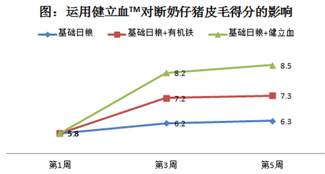 bifa必发猪饲料添加剂健立血对断奶仔猪皮毛的影响