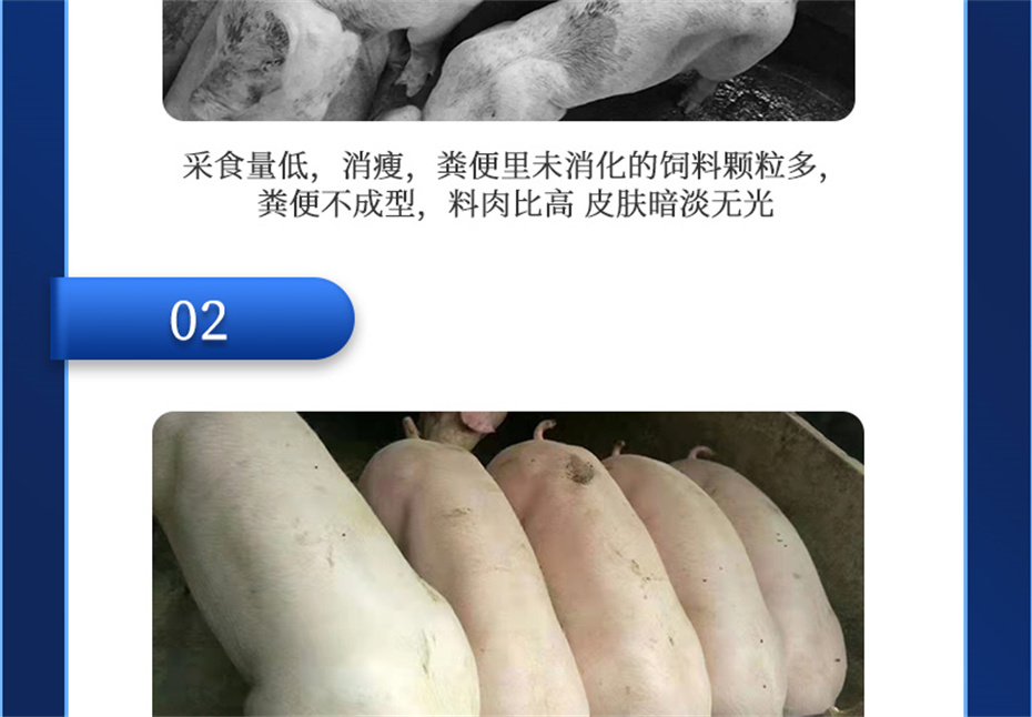 bifa必发动保猪饲料添加剂肥猪王产品介绍