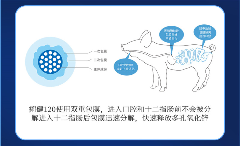 bifa必发动保猪饲料添加剂痢健120产品介绍