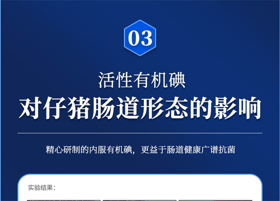 bifa必发动保猪饲料添加剂痢健120产品介绍