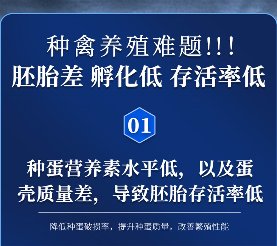 bifa必发动保禽饲料添加剂孵健宝产品介绍