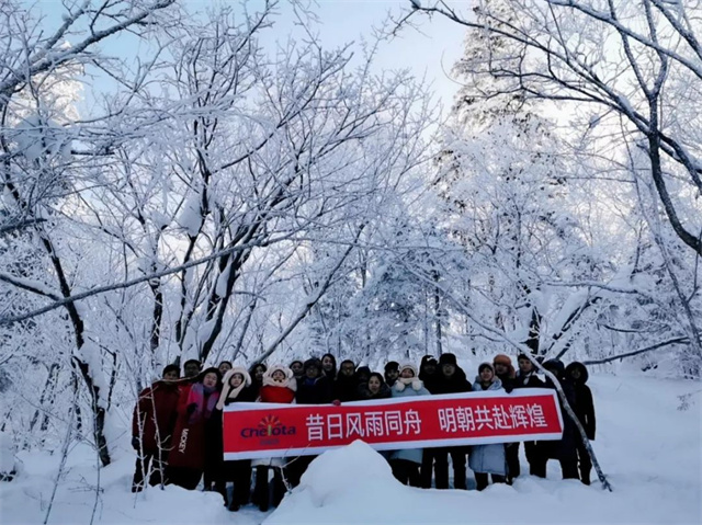 年度总结会