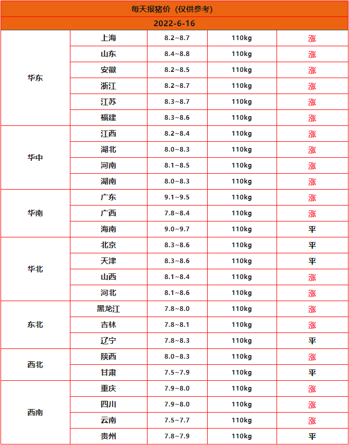 今日猪价